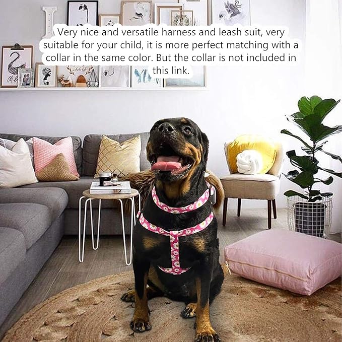 QQPETS Dog Harness Leash Set Adjustable Heavy Duty No Pull Halter Harnesses for Small Medium Large Breed Dogs Back Clip Anti-Twist Perfect for Walking (L(23"-32" Chest Girth), Daisy)