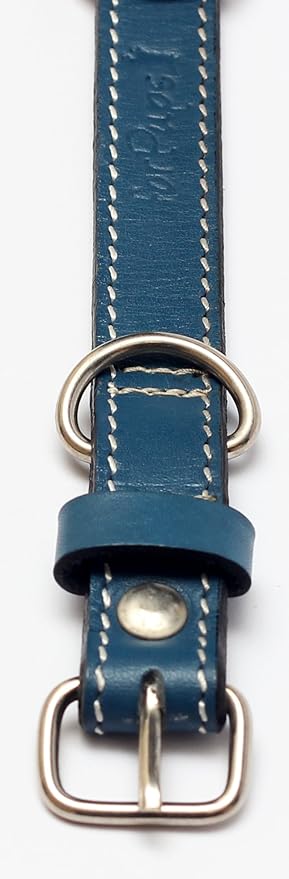 Premium Leather Collars with Stainless Steel Buckles (9"-12", Blue)