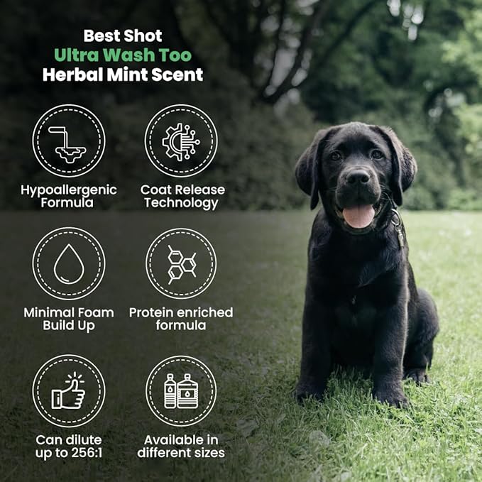 Best Shot Ultra Wash Too Shampoo with Pet Coat Release Technology, Coat and Skincare Product for Dogs and Cats, Quick-Rinsing, 16 oz