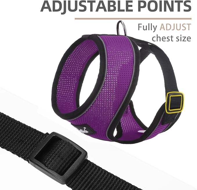 PUPTECK Soft Mesh Dog Harness and Leash Set Pet Puppy Cat Comfort Padded Vest No Pull Harnesses, Solid Purple, S