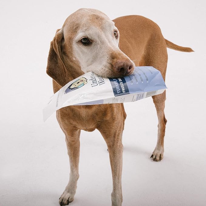 Under the Weather Bland Diet for Dogs | Easy to Digest for Sick Dogs |Always Be Ready| Contains Electrolytes - All Natural Freeze Dried 100% Human Grade Meats| 6 Pack- Rice Turkey & Sweet Potato - 6oz