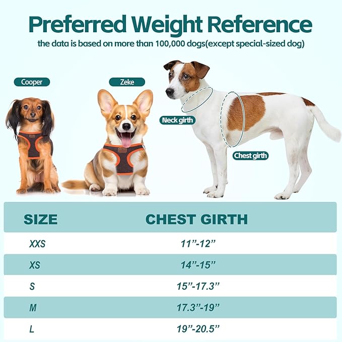 Dog Harness with Multifunction Dog Leash,No Pull Reflective Step-in Harness for Soft Adjustable No Choke Escape Proof,Easy Walk Dog Harness for Puppy,Small Dogs (Orange&Dark Grey, XS)