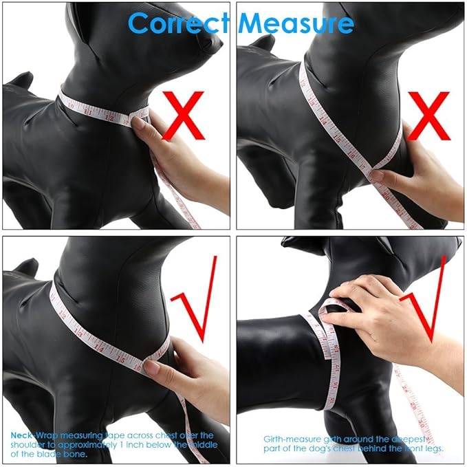 QQPETS Dog Harness Leash Set Adjustable Heavy Duty No Pull Halter Harnesses for Small Medium Large Breed Dogs Back Clip Anti-Twist Perfect for Walking (S(14"-20" Chest Girth), Bone)