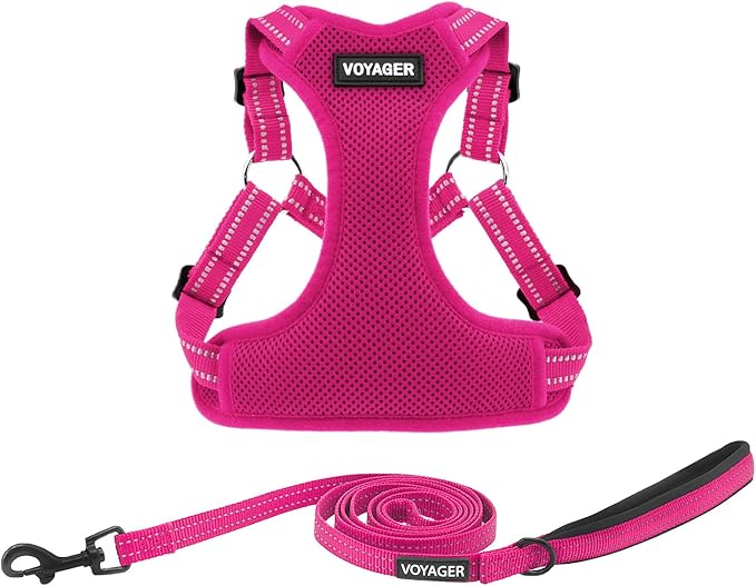 Best Pet Supplies Voyager Adjustable Dog Harness Leash Set with Reflective Stripes for Walking Heavy-Duty Full Body No Pull Vest with Leash D-Ring, Breathable All-Weather - Harness (Fuchsia), S