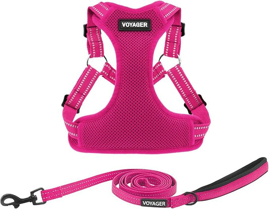 Best Pet Supplies Voyager Adjustable Dog Harness Leash Set with Reflective Stripes for Walking Heavy-Duty Full Body No Pull Vest with Leash D-Ring, Breathable All-Weather - Harness (Fuchsia), XS