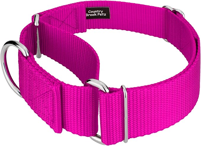 Country Brook Petz 1 1/2 Inch Martingale Heavy Duty Nylon Adjustable Dog Collar for Small, Medium, Large Breeds - Vibrant 17 Color Selection (Fuchsia, Large)