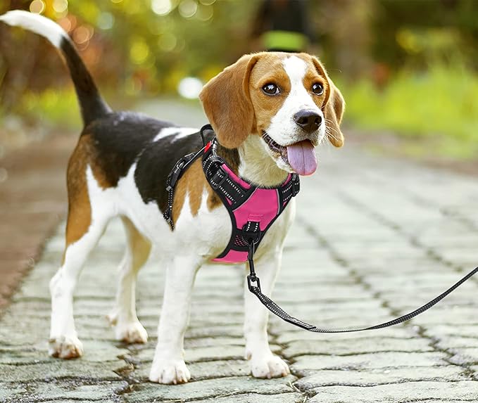 PoyPet No Pull Dog Harness, No Choke Front Lead Dog Reflective Harness, Adjustable Soft Padded Pet Vest with Easy Control Handle for Small to Large Dogs(Pink,S)