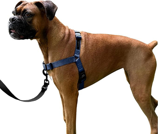 ShawnCo Dream Walk No-Pull Dog Harness- Adjustable, Comfortable, Easy to Use Pet Halter to Help Stop Pulling for Small, Medium and Large Dogs (Pacific Blue, L)