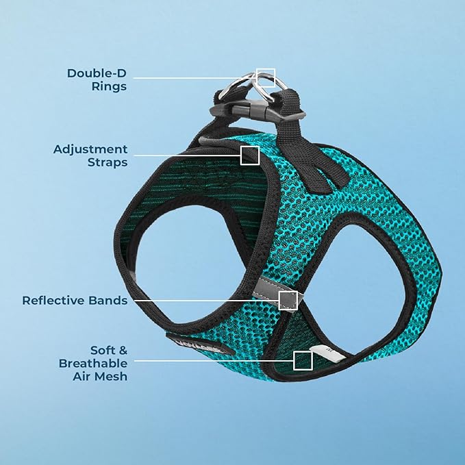 Voyager Step-in Air Dog Harness - All Weather Mesh, Reflective, No Pull Harness for Small, Medium Dogs, Cats - Secure with Hook & Loop Fastener, Buckle, Double D-Rings - Turquoise 2-Tone, M