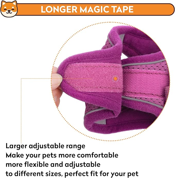 Dog Harness with Leash Set, No-Pull Step-in Reflective Pet Harness with 1 Leash Clips, Adjustable Soft Padded Easy Walk Dog Vest for Small Medium Large Dogs, Cats(Rose Red, XSmall)