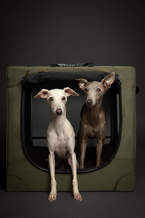 Noah & Paw Collapsible Dog Crate 30 Inches, Large Dog Crate for Large Medium Breeds, Travel Kennel for Car, Including Pet Mat for Pet Cage, 2 Storage Pockets, Handbag, 10mm Locking Zipper 30*21*21