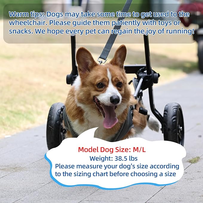 Small Dog Wheelchair for Back Legs, Light Weight Dog&Cat&Pets Wheelchair Cart with Disabled Hind Legs Walking, Adjustable Doggy Wheelchair Cart with Wheels for Back Legs