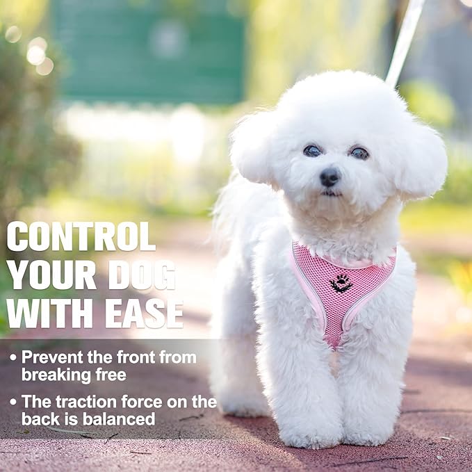 BEAUTYZOO Step in Dog Harness and Leash Set, Reflective Dog Harness No Pull No Choke Puppy Cat Harness Adjustable for XXS XS S Dogs Cats, Soft Padded Mesh Vest Harnesses for Girl and Boy Pets