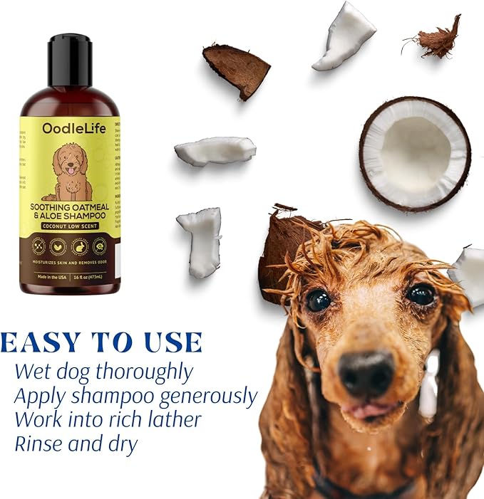 Dog Shampoo and Conditioner Aloe Oatmeal + Coconut 16 fl oz - Natural Dog Shampoo Sensitive Skin Dog Breeds, Moisturising, Dog Shampoo for Smelly Dogs, Goldendoodles