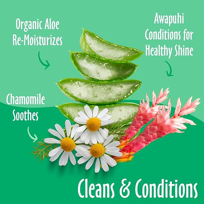 earthbath Green Tea and Awapuhi Grooming Wipes- Dog and Cat Cleaning Wipes for Paws and Butt, Cruelty-Free, Removes Dirt and Dander- 100 Count, 1 Pack