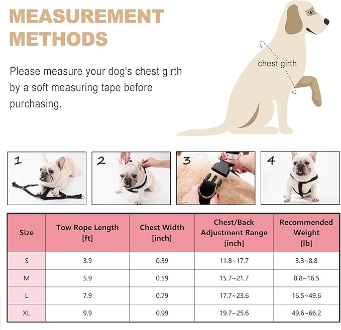 Dog Harness and Leash Set, No Pull Soft Mesh Pet Harness, Adjustable Puppy Vest for Small Medium Large Dogs (Pink, L)