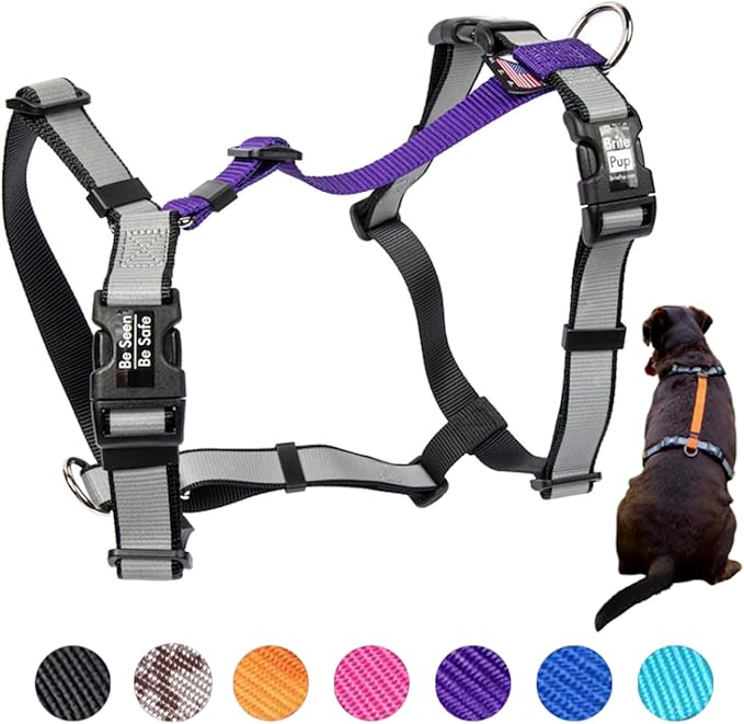 No Pull Harness with Fully Customizable Fitment for XS Dogs - 3M Reflective Heavy Duty Harness for Walking & Training - No Choke Comfortable Collar Design, Made in USA XS-Purple