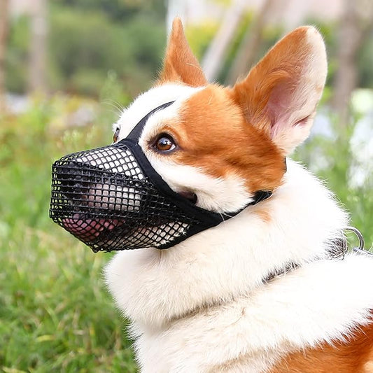 Crazy Felix Dog Muzzle, Soft Mesh Muzzle for Small Medium Large Dogs Labrador German Shepherd, Breathable Adjustable Muzzles for Biting, Chewing, and Scavenging, Allows Panting and Drinking(Black,XS+)