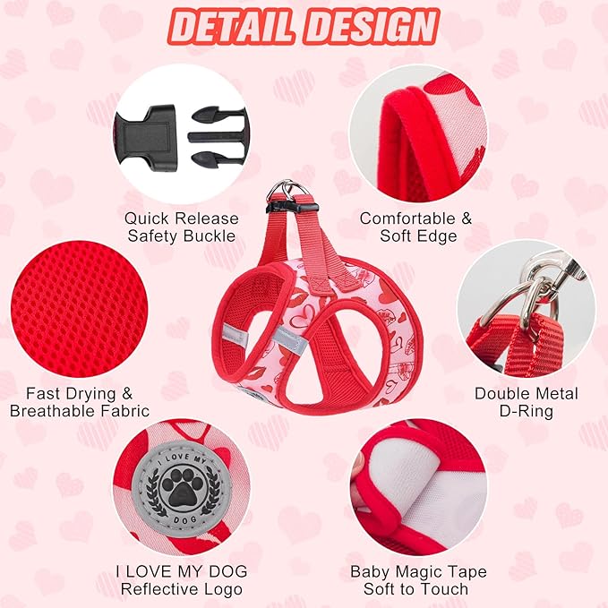 BEAUTYZOO Step in Dog Harness and Leash Set,Reflective Dog Harness No Pull No Choke Puppy Harness for Small Medium Large Dogs Cats,Soft Padded Mesh Vest Harnesses for Girl and Boy Pets, Valentine XS