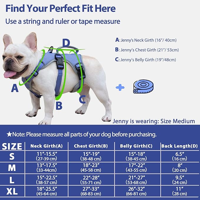 Escape Proof Dog Harness, Escape Artist Harness, Reflective Dog Harness with Handle, Durable,Adjustable Vest for Small Medium Large Dogs Walking, Training, and Running Gear(Technicolor Blue,M)
