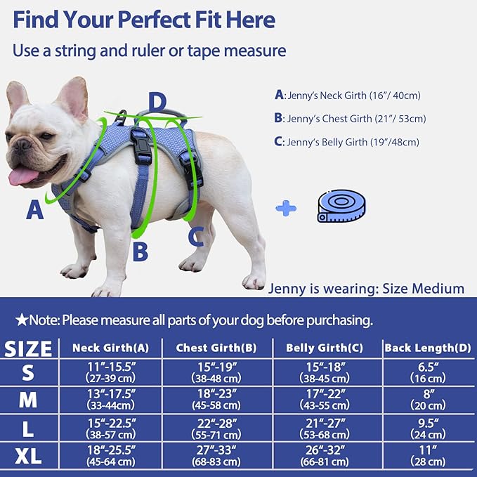 Escape Proof Dog Harness, Escape Artist Harness, Reflective Dog Harness with Handle, Durable,Adjustable Vest for Small Medium Large Dogs Walking, Training,and Running Gear(Technicolor Blue,XL)