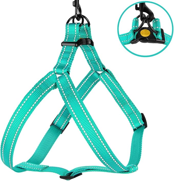 CollarDirect Reflective Dog Harness Step in Small Medium Large for Outdoor Walking, Comfort Adjustable Harnesses for Dogs Puppy Pink Black Red Purple Mint Green Orange Blue (Small, Mint Green)