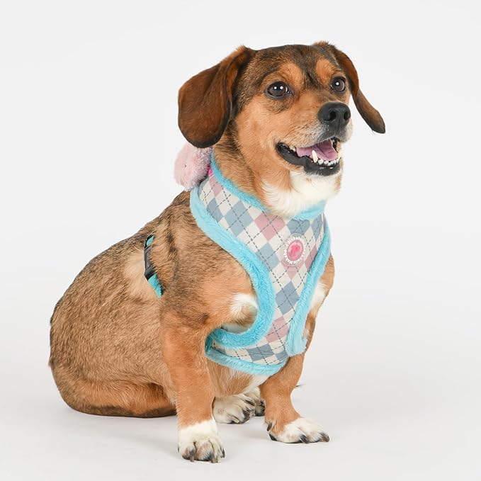 Pinkaholic New York Annika Dog Harness Over-The-Head Warm Winter Argyle Pattern Adjustable Chest for Small Dog, Aqua, Large