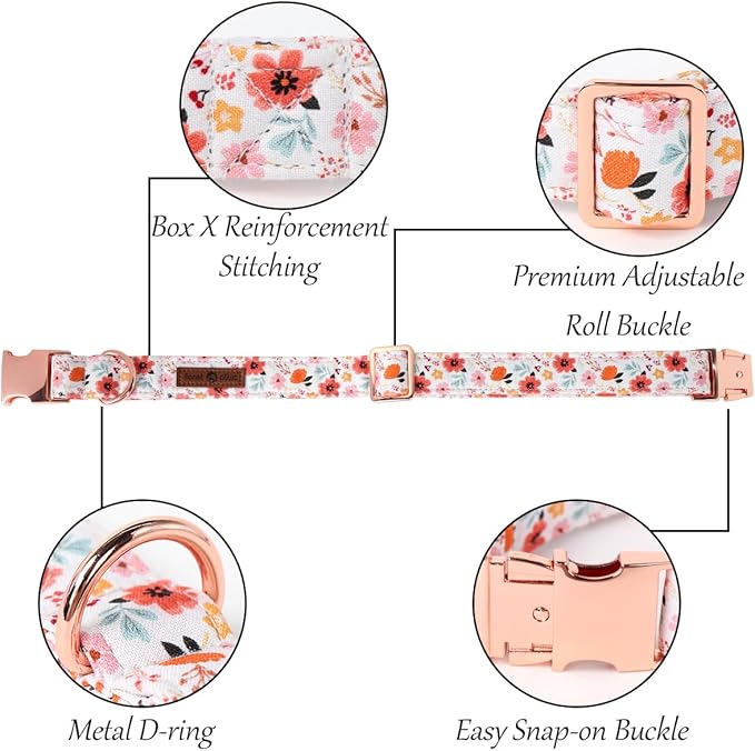 Lionet Paws Dog Collar, Adjustable Cute Collar with Metal Buckle for Male Female Puppies Gift,Summer Flower, Medium, Neck 13.5-22 inches