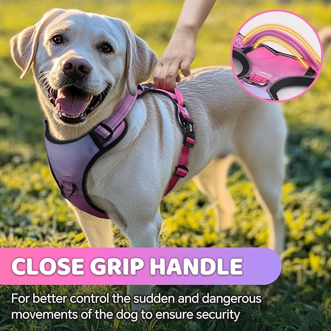 QQPETS No Pull Dog Harness with 2 Leash Clips，Adjustable Soft Padded Dog Vest, Reflective Outdoor Pet Oxford Vest with Easy Control Handle for Small to Large Dogs Walking Training