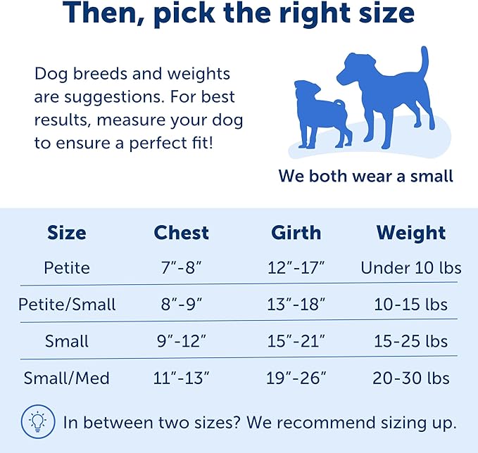 PetSafe Easy Walk No-Pull Dog Harness - The Ultimate Harness to Help Stop Pulling - Take Control & Teach Better Leash Manners - Helps Prevent Pets Pulling on Walks, Small, Raspberry/Gray