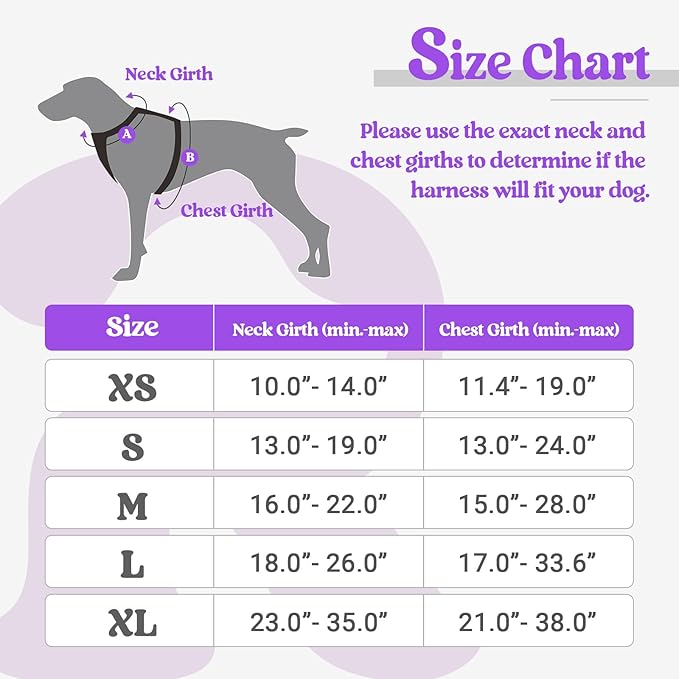 rabbitgoo Dog Harness, No-Pull Pet Harness with 2 Leash Clips, Adjustable Soft Padded Dog Vest, Reflective No-Choke Pet Oxford Vest with Easy Control Handle for Large Dogs, Purple, XL