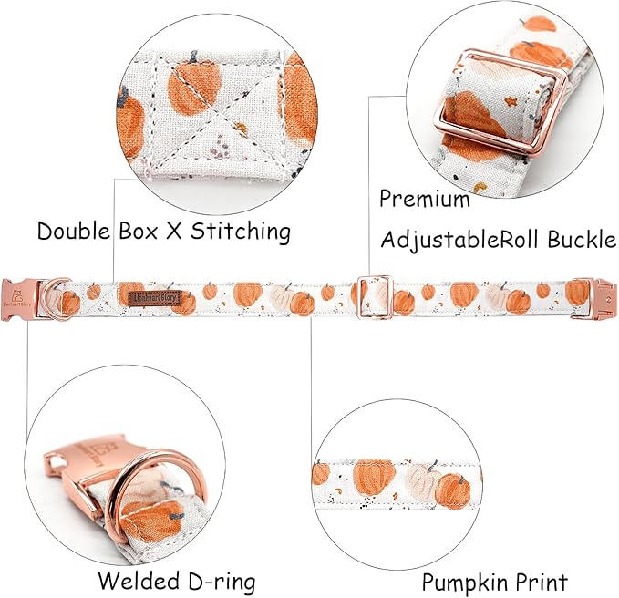 Lionheart glory Dog Collar Halloween Collar Dog Fall Dog Collars, Adjustable Heavy Duty Dog Collar for Large Dogs Pumpkin Collar Dog