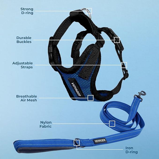 Voyager Step-in Lock Dog Harness w Reflective Dog Leash Combo Set with Neoprene Handle 5ft - Supports Small, Medium and Large Breed Puppies/Cats by Best Pet Supplies - Royal Blue/Black Trim, XL