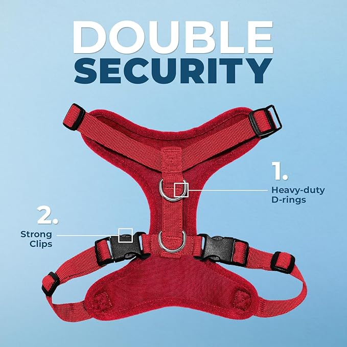 Voyager Step-in Lock Dog Harness w Reflective Dog Leash Combo Set with Neoprene Handle 5ft - Supports Small, Medium and Large Breed Puppies/Cats by Best Pet Supplies - Red, XS