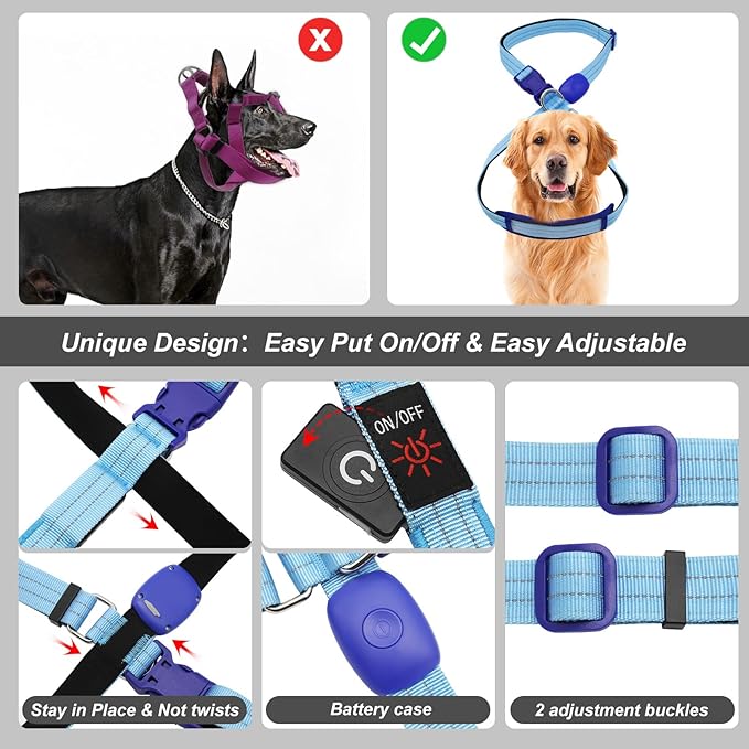 LED Light Up Dog Vest Harness Rechargeable, Soft Padded, Adjustable & Reflective Lighted Dog Harness Waterproof, Glow Dark Dog Light Harness for Camping Night Safety Walking, Medium Blue