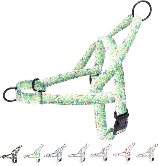 No Pull Dog Harness for Small, Medium, and Large Pets - Floral Pattern Nylon Safety Training Dog Harness (XS, Grass)