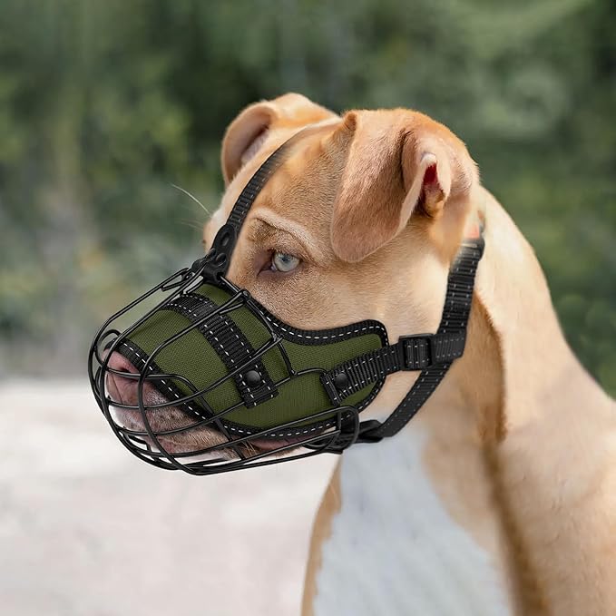 OOPSDOGGY Pitbull Dog Muzzle Reflective Metal Mask Secure Wire Basket Muzzle for Large Sized Dogs Amstaff Soft Cage Muzzle to Prevent Biting Chewing with Adjustable Nylon Straps (Green, Pitbull)