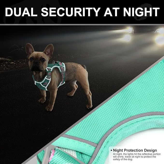 No Pull Dog Harness and Leash Set,Reflective Dog Harness with Easy Control Soft Handle,Adjustable and Comfortable for Easy Walking,Fit Small Medium Large Breed Dogs,Blue,S