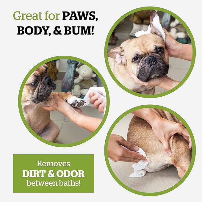 Pogi’s Dog Wipes Travel Packs – Hypoallergenic Pet Wipes for Paws, Body & Butt – Cleaning & Hydrating, Fragrance Free, 120-Count