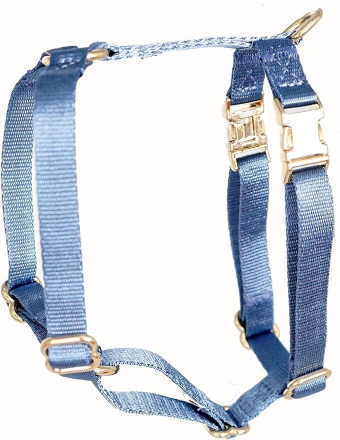 Nylon No Pull Dog Harness with Gold Metal Buckles,Easy Walking and Training Dog Harness (Air Blue, XS)