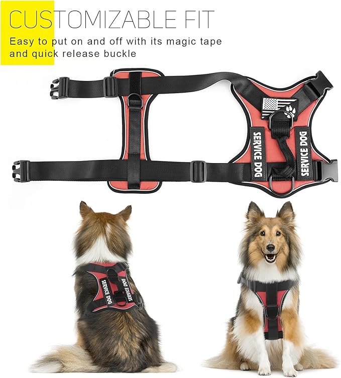 Demigreat Service Dog Harness, Reflective Dog Vest Harness with 5 PCS Patches, Adjustable Soft Oxford Pet Harness, Inner Layer Mesh, Easy to Control for Dogs