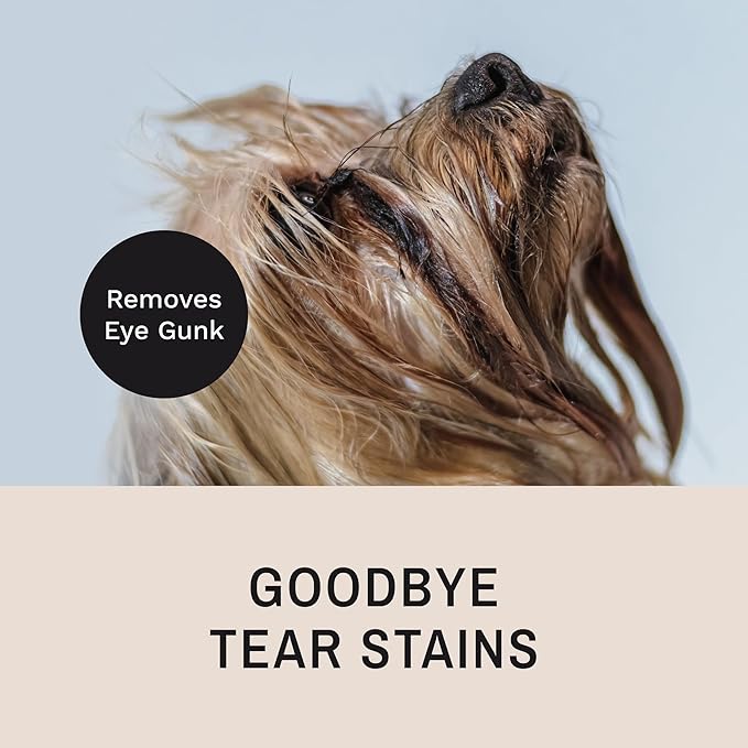 Eye Envy Tear Stain Remover Comb for Dogs and Cats. Fine/Coarse Comb with 80 Rounded Pins. Gently Remove Crusty Eye Debris, Gunk and Boogers. Face and Feet Comb. Remove Tangles
