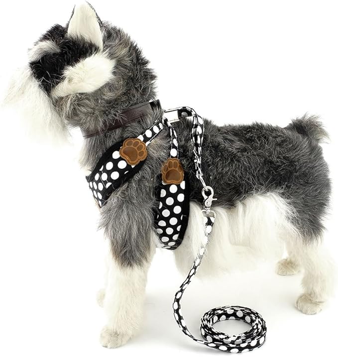 SMALLLEE_Lucky_Store New Soft Mesh Nylon Vest Pet Cat Small Medium Dog Harness Dog Leash Set Leads Black M