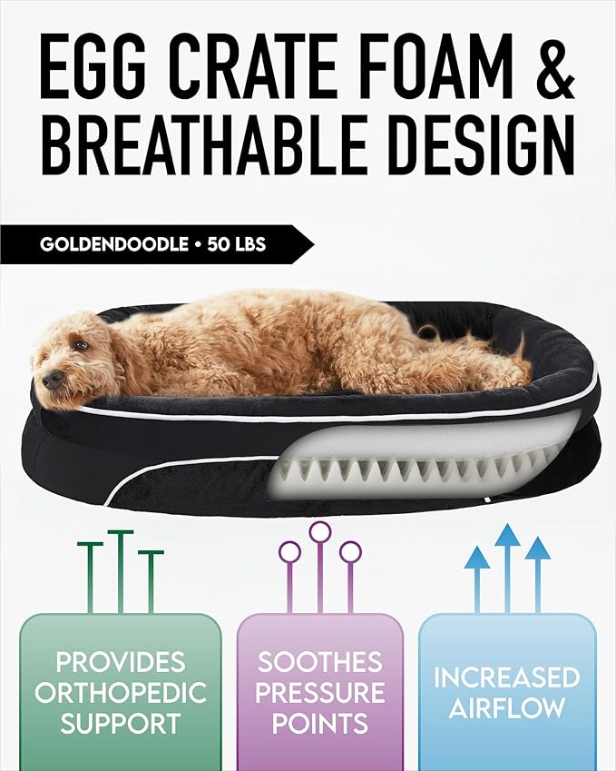 OhGeni Orthopedic Dog Bed for Extra Large Dogs, Dog Couch Design with Egg Foam Support, Removable, Washable Plush Cover and Non-Slip Bottom with Four Sided Bolster Cushion (Black)