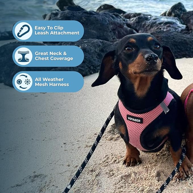 Voyager Step-In Air Dog Harness - All Weather Mesh, Reflective, No Pull Harness for Small, Medium Dogs, Cats - Secure with Hook & Loop Fastener, Buckle, Double D-Rings - Pink/Black Trim, XXS