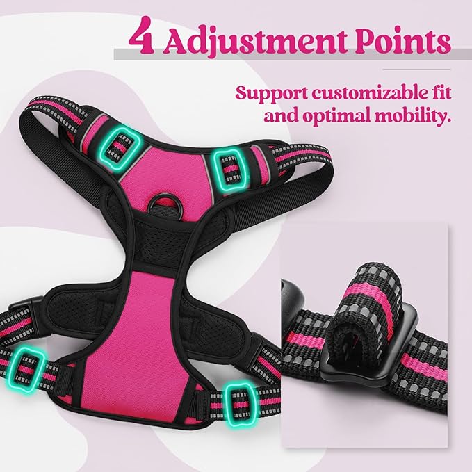 rabbitgoo Dog Harness, No-Pull Pet Harness with 2 Leash Clips, Adjustable Soft Padded Dog Vest, Reflective No-Choke Pet Oxford Vest with Easy Control Handle for Medium Dogs, Hot Pink, M