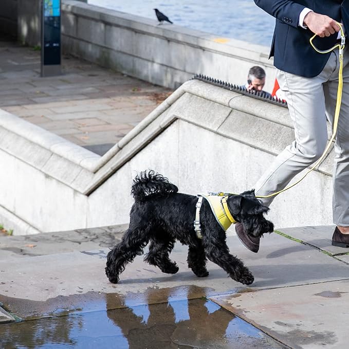 HUGO & HUDSON Dog Harness No-Pull Pet Harness Adjustable Quick Dry Mesh Padded Vest, Yellow, L