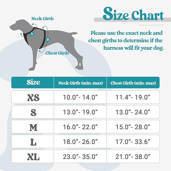 rabbitgoo Dog Harness, No-Pull Pet Harness with 2 Leash Clips, Adjustable Soft Padded Dog Vest, Reflective No-Choke Pet Oxford Vest with Easy Control Handle for Large Dogs, Teal, S