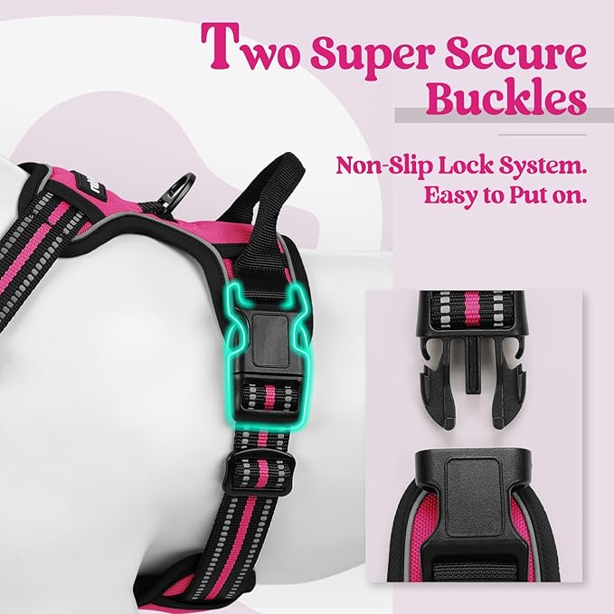 rabbitgoo Dog Harness, No-Pull Pet Harness with 2 Leash Clips, Adjustable Soft Padded Dog Vest, Reflective No-Choke Pet Oxford Vest with Easy Control Handle for Medium Dogs, Hot Pink, M