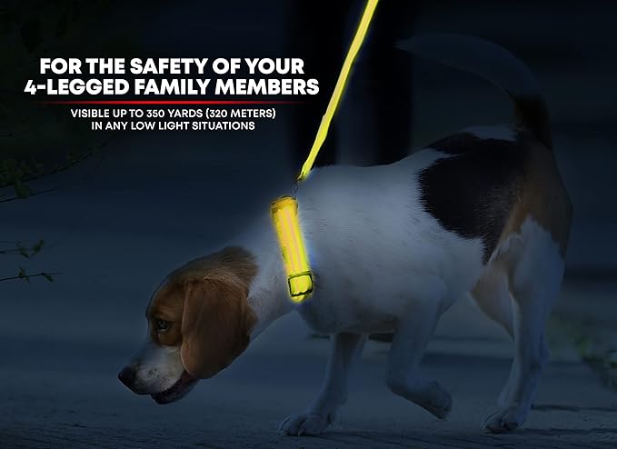 ILLUMISEEN LED Dog Collar USB Rechargeable - Bright & High Visibility Lighted Glow Collar for Pet Night Walking - Weatherproof, in 6 Colors & 6 Sizes (Yellow Large)